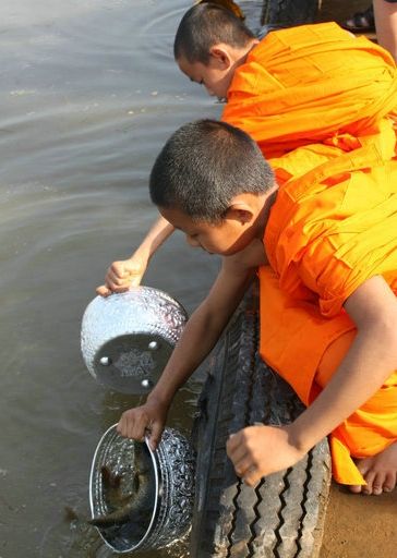 南垒河畔给鱼放生的小和尚