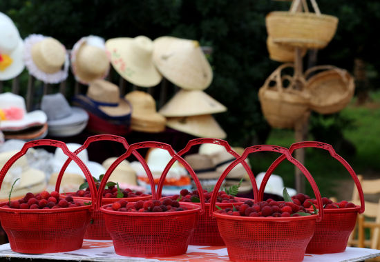 六月宜兴分外美 秀丽阳羡采杨梅