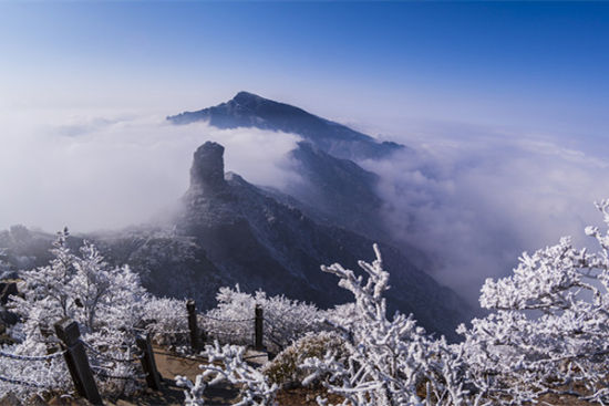 天净沙·冬景图片