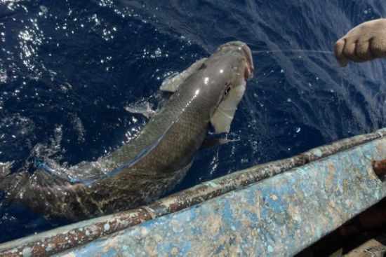 行游海南玩遍海南5大特色海岛4