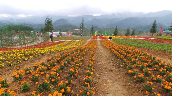 黄水云中花都图片