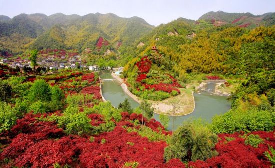 寧波的山 總有一款適合你 _新浪旅遊_新浪網