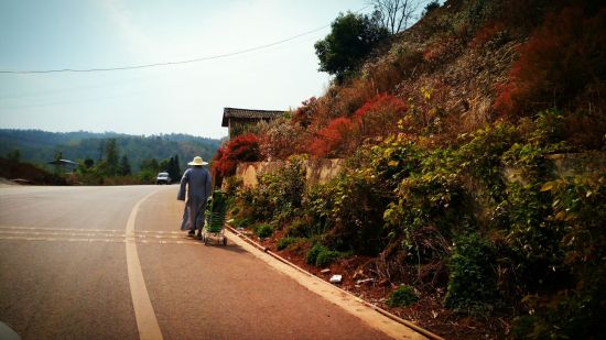 拜別雞足山 迦葉殿住持宏信法師6000裡徒步朝聖