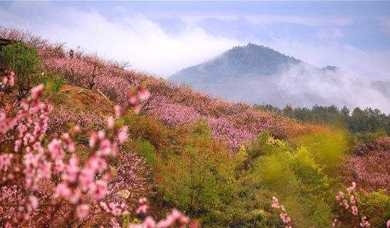 桃花岭古道