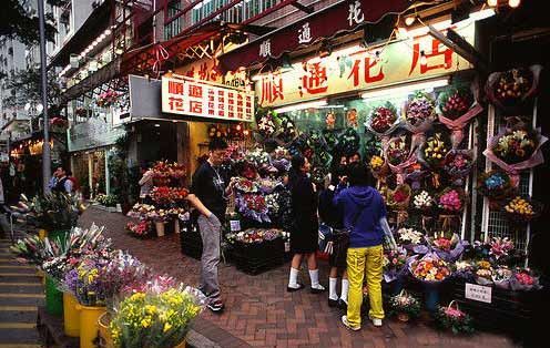 香港花墟道 街头宁静的美好(组图)(2)
