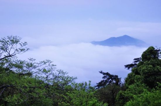 軍峰山雲海