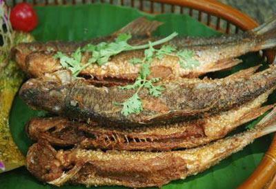 覓食,以河水中的水生蟲為食,外觀與泰國石鯪魚相似,單體最大重量不足