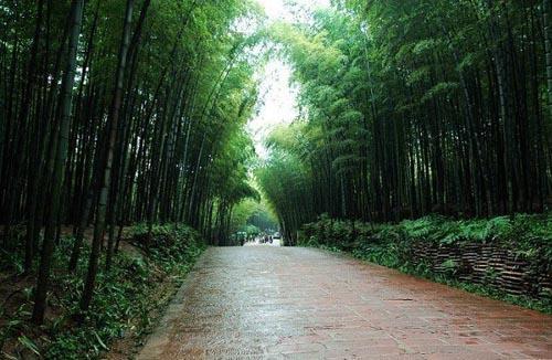 避暑好去處:蜀南竹海遊玩攻略(組圖)(2)_新浪旅遊_新浪網