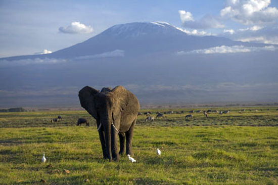 有鹳鸟在散步,据说还常能看到大象群在这里游戏.