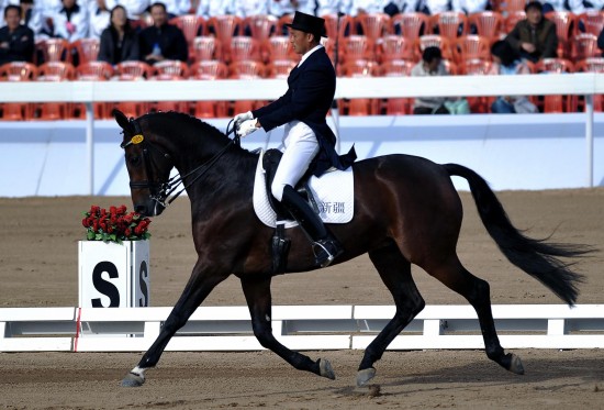 图文马术盛装舞步个人赛赛况姬德胜在比赛中