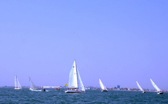 图文首届高校杯大帆船赛海洋上白帆点点