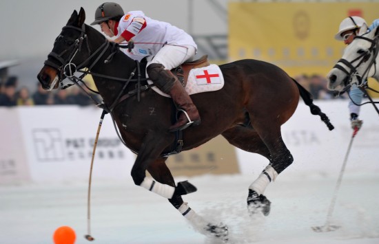 图文-国际雪地马球赛英国队夺冠 奥利快马加鞭