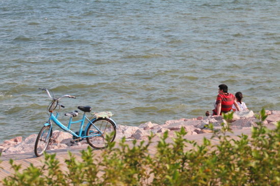红树湾骑行看海